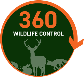 The Bearcat Running Club